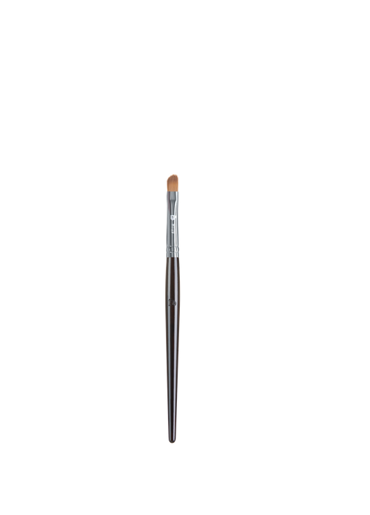 Ebony Wood Series Thin Angled Brush HT19